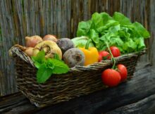 Secrete pentru o grădină sănătoasă: lupta împotriva bolilor și dăunătorilor